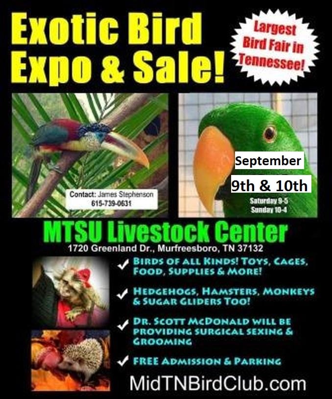 Heart of Tennessee Aviculture Society Exotic Bird Expo and Sale The