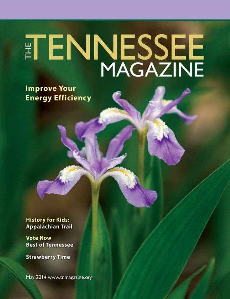 The Magazine - The Tennessee Magazine