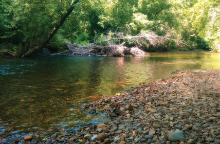 conasauga nearly