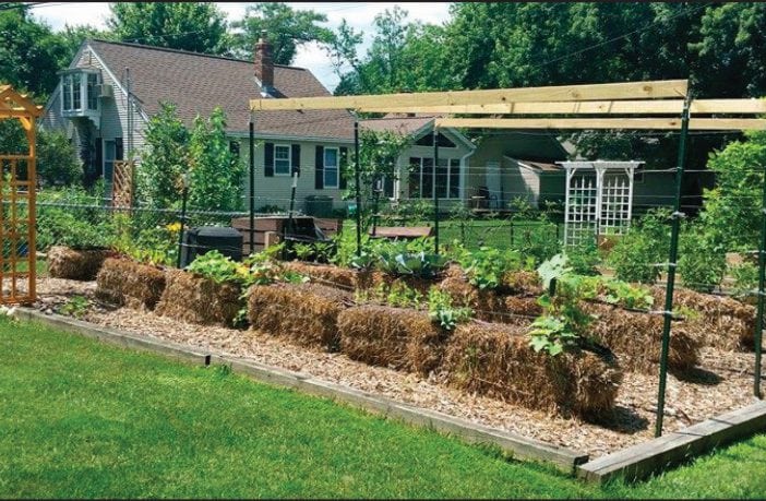 Solve Your Soil Issues With Straw Bale Gardening The Tennessee Magazine