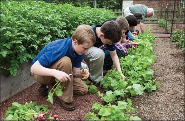 Kids doing planting