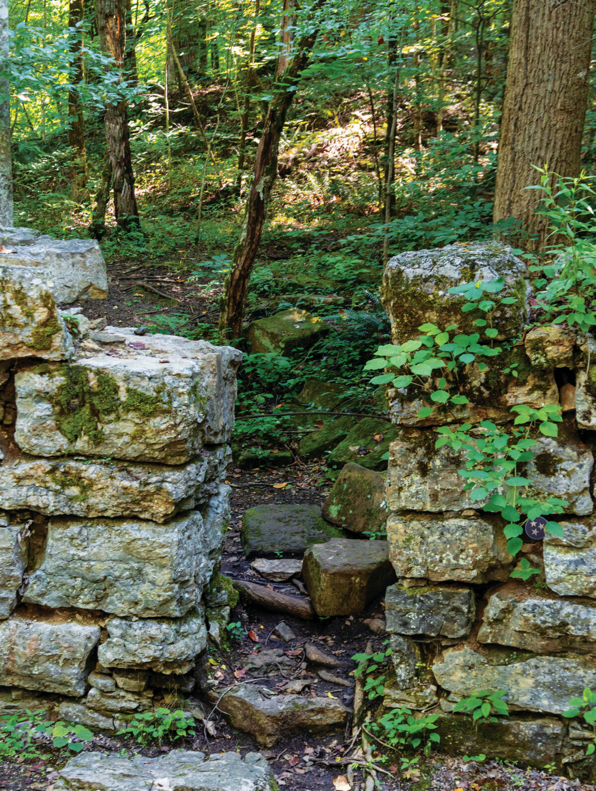 Old Stone Fort State Archaeological Park - The Tennessee Magazine