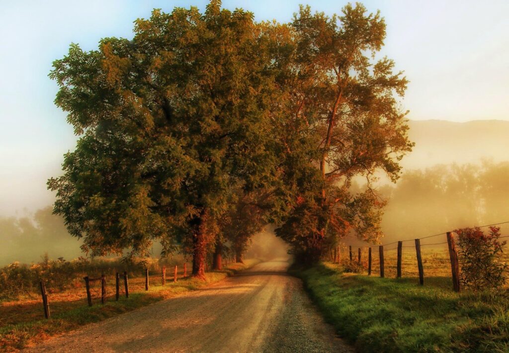 "Crisp Fall Morning," Susan Wyrick, Hohenwald, Meriwether Lewis EC